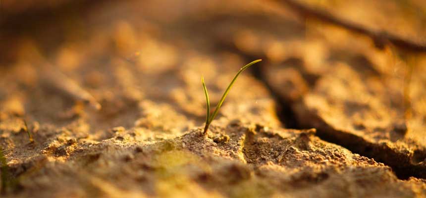 We provide impactful solutions