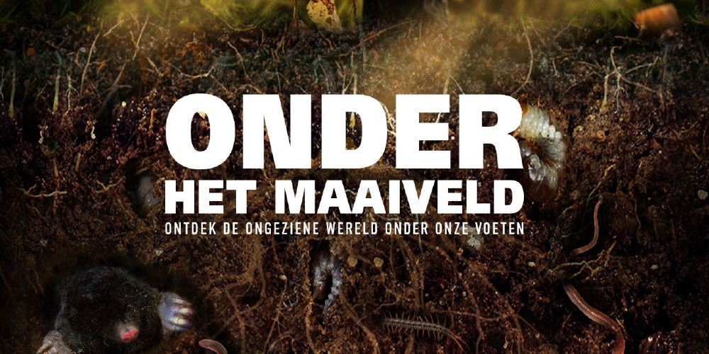 onder-het-maaiveld